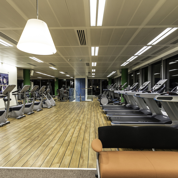Gimnasio